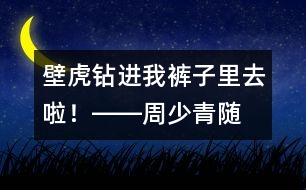 “壁虎”鉆進(jìn)我褲子里去啦！――周少青隨筆兩篇