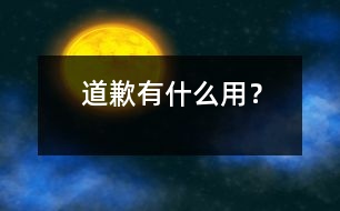 道歉有什么用？