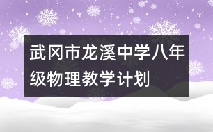 武岡市龍溪中學(xué)八年級物理教學(xué)計(jì)劃