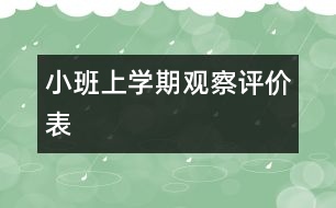 小班上學(xué)期觀察評價表