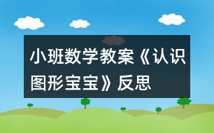 小班數(shù)學(xué)教案《認(rèn)識(shí)圖形寶寶》反思