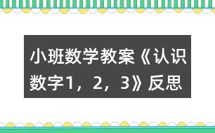 小班數(shù)學(xué)教案《認(rèn)識(shí)數(shù)字1，2，3》反思