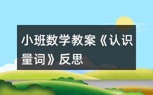 小班數(shù)學(xué)教案《認(rèn)識(shí)量詞》反思