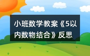 小班數(shù)學(xué)教案《5以內(nèi)數(shù)物結(jié)合》反思