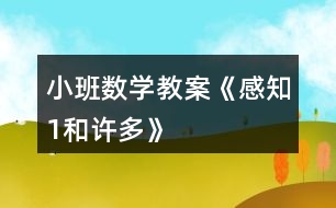 小班數(shù)學教案《感知“1”和“許多”》反思