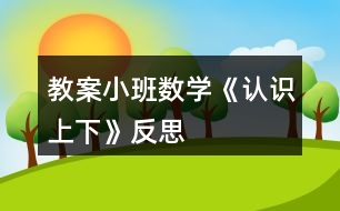 教案小班數(shù)學《認識上下》反思