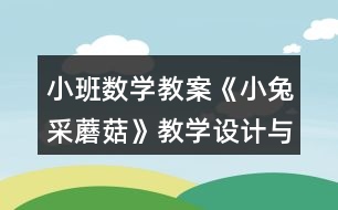 小班數(shù)學(xué)教案《小兔采蘑菇》教學(xué)設(shè)計(jì)與反思