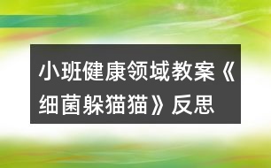 小班健康領(lǐng)域教案《細(xì)菌躲貓貓》反思