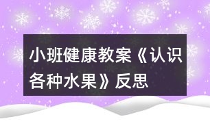 小班健康教案《認(rèn)識(shí)各種水果》反思