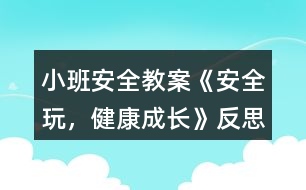 小班安全教案《安全玩，健康成長(zhǎng)》反思