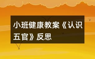 小班健康教案《認(rèn)識(shí)五官》反思