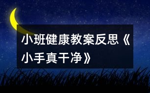 小班健康教案反思《小手真干凈》