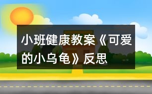 小班健康教案《可愛的小烏龜》反思