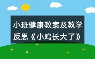 小班健康教案及教學反思《小雞長大了》