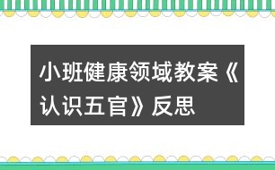 小班健康領(lǐng)域教案《認(rèn)識五官》反思