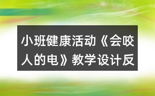 小班健康活動《會咬人的電》教學設計反思