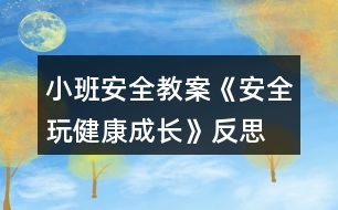 小班安全教案《安全玩健康成長(zhǎng)》反思