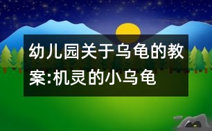 幼兒園關(guān)于烏龜?shù)慕贪?機靈的小烏龜