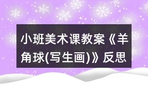 小班美術(shù)課教案《羊角球(寫生畫)》反思