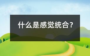 什么是感覺統(tǒng)合？