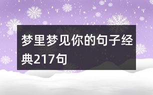 夢里夢見你的句子經(jīng)典217句