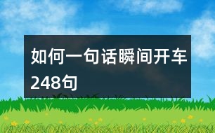 如何一句話瞬間開車248句