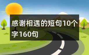 感謝相遇的短句10個(gè)字160句