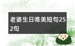 老婆生日唯美短句252句