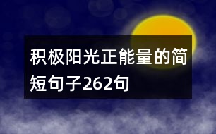 積極陽光正能量的簡短句子262句