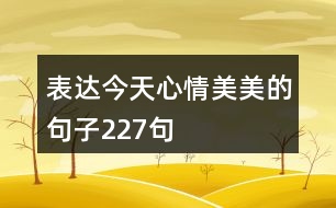 表達今天心情美美的句子227句