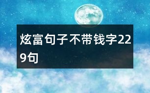 炫富句子不帶錢字229句