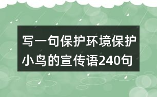 寫(xiě)一句保護(hù)環(huán)境保護(hù)小鳥(niǎo)的宣傳語(yǔ)240句