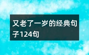 又老了一歲的經(jīng)典句子124句