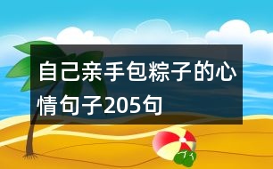 自己親手包粽子的心情句子205句