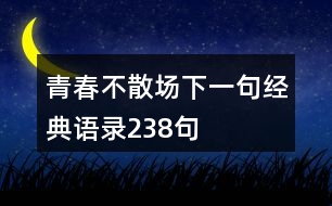 青春不散場(chǎng)下一句經(jīng)典語(yǔ)錄238句