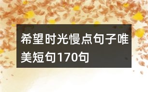 希望時光慢點句子唯美短句170句