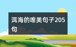 洱海的唯美句子205句