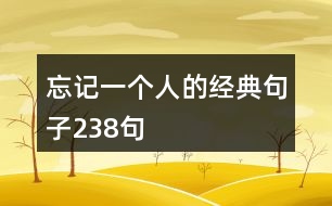 忘記一個(gè)人的經(jīng)典句子238句