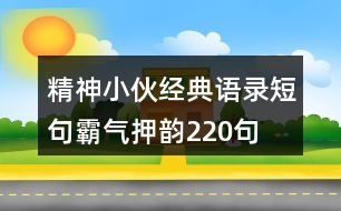 精神小伙經(jīng)典語(yǔ)錄短句霸氣、押韻220句