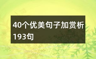 40個優(yōu)美句子加賞析193句