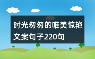 時光匆匆的唯美驚艷文案句子220句