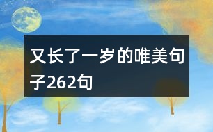 又長了一歲的唯美句子262句