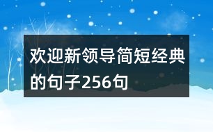 歡迎新領(lǐng)導(dǎo)簡短經(jīng)典的句子256句