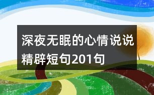 深夜無(wú)眠的心情說(shuō)說(shuō)精辟短句201句