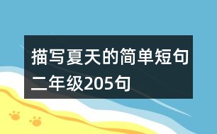 描寫夏天的簡單短句二年級(jí)205句