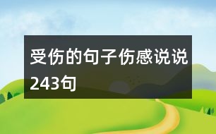 受傷的句子傷感說(shuō)說(shuō)243句