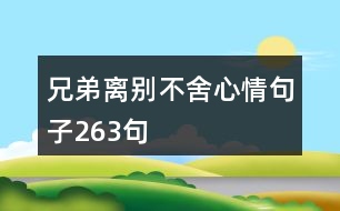 兄弟離別不舍心情句子263句