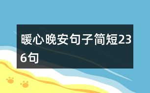 暖心晚安句子簡(jiǎn)短236句