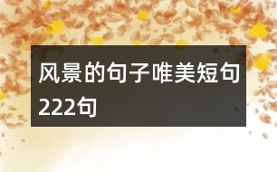 風景的句子唯美短句222句