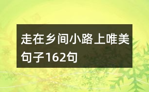 走在鄉(xiāng)間小路上唯美句子162句